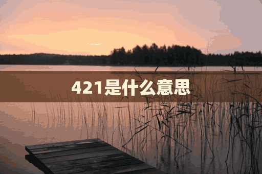 421是什么意思(421是什么意思爱情)